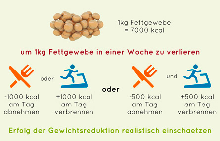 Infografik zu Diäten